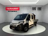 Fiat Ducato Pritsche DoKa 35 L4 Maxi/4JA-GA/RFK/AHK/I - Fiat Ducato: Pritsche Doka