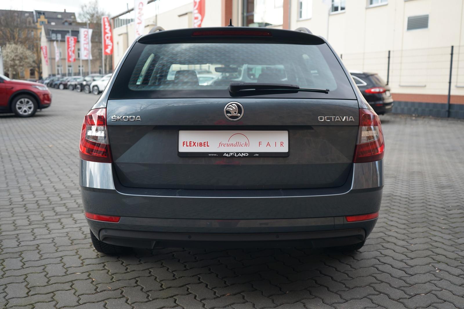 Skoda Octavia Combi 1.0 TSI Tour LED SmartLink Sitzhei, миниатюра 5