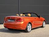 BMW 220i Cabrio Aut. Navi CD PDC Kamera LED Tempomat - BMW 220 in Stuttgart