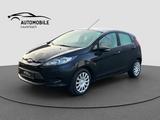 Ford Fiesta Trend 1.25 Sitzheizung/Klima/5.Trg/82 PS - Ford Fiesta: 82 Ps