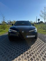 Alfa Romeo Stelvio 2.0 Turbo 16V 206kW B-Tech AT8-Q4 B-Tech - Alfa Romeo in Köln