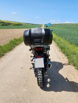 Honda Transalp XL750P Neuwertig - HONDA TRANSALP
