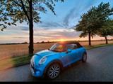 MINI Mini Cooper D Cabrio - MINI Cooper D Cabrio von privat
