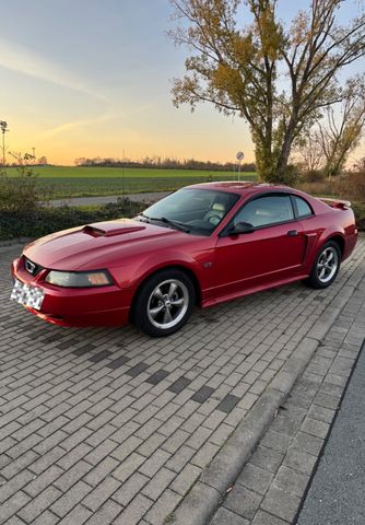 Ford Mustang GT V8 mit HU