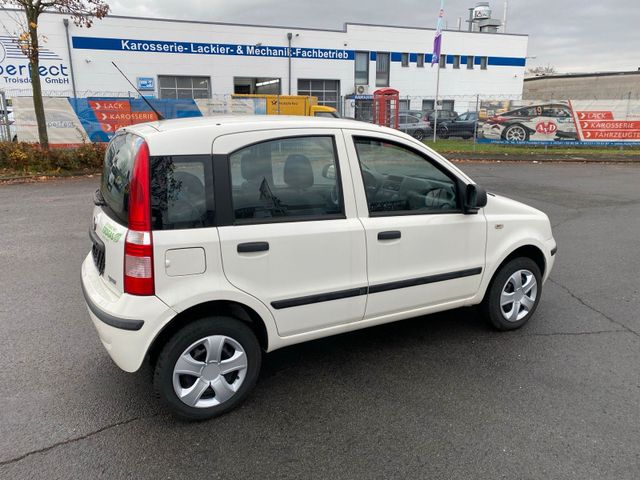 Fiat Schöner Fiat Panda gut Gepflegt NEU TÜV Er...