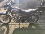 Kawasaki W800 - Angebote