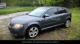 Audi A3 1.6 - Klima - SHZ - Tüv 12/2027 - Audi A3 aus 2004: 1.6
