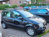 Fiat FIAT Panda schwarz, mit Dachreling, 4-türig - Fiat Panda Gebrauchtwagen in Hamburg