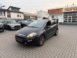 Fiat Punto Evo MyLife/NUR 44TKM/2.Hand/ - blaue Fiat Punto Evo