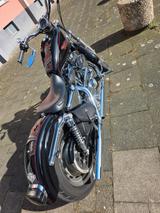 Harley-Davidson Sportster 1200 Custom XL1  - HARLEY-DAVIDSON 2001 SPORTSTER