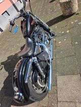 Harley-Davidson Sportster 1200 Custom XL1  - HARLEY-DAVIDSON 2001 SPORTSTER 1200