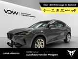 Cupra Formentor 1.5 TSI Full Link SHZ PDC Klima - Cupra Formentor mit Benzin-Antrieb: Sportwagen
