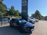 Mazda CX-30 2.0 e-SKYACTIV G 122ps Nagisa Automatik - Mazda CX-30: Nagisa