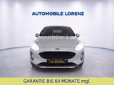 Ford Fiesta Active Plus / PANORAMADACH / KLIMA /SHZ - Ford Fiesta: Plus