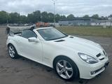 Mercedes-Benz 2LOOK EDITION, Sportpaket, SLK 200, Kompressor  - Mercedes-Benz Cabrio aus dem Jahr 2009