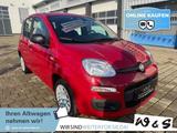 Fiat Panda MY25 1.0 GSE *5-Sitzer*GRA* PDC*Bluet.* - Fiat Panda: Sitze