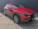 Mazda CX-30 2.5l (140PS) Centre-Line Design-Paket 2025 - Mazda CX-30: Centre Line