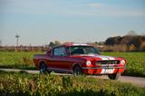 Ford Mustang Fastback 1966 Top-Zustand C-Code V8 - Ford Mustang aus 1965: Fastback