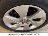 Jaguar I-Pace SE EV320 ACC|LED+|360°|StandHZ|20" - Jaguar I-Pace SUV