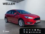 Ford Focus 1.5 EcoBoost Titanium *Xenon*CAM*hzb Front - gebrauchte Ford Focus aus dem Jahr 2015