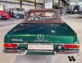 Mercedes-Benz 250SL W113 PAGODE 4-Gang Hand grün-beige selten! - Mercedes-Benz: W113 Pagode