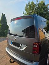 Volkswagen Caddy Maxi - Volkswagen Caddy Maxi in Magdeburg