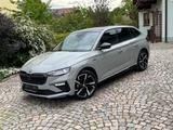 Skoda Scala 1.5 DSG Monte Carlo / Matrix / Pano / AHK