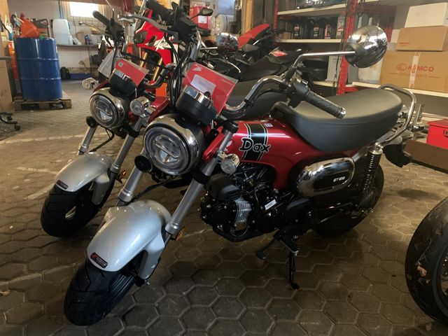 Honda Dax 125 * 0 KM* NEU*