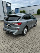 Ford Kuga 2.0 EcoBlue Diesel  190 PS  Automatik - Ford Kuga: For