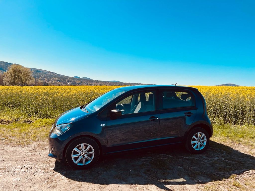 Image of Seat Mii