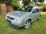 Volkswagen VW Lupo 1.4 60PS Klima Alu Allwetter 126tkm - Volkswagen Lupo: 1.6