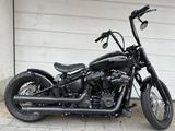 Harley-Davidson Street Bob 107 200 Heckumbau !!! - Offers