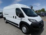 Fiat Ducato Maxi 2.3 180 L3 L4H2 Klima Navi TüV AHK 3 - Fiat Ducato: Maxi