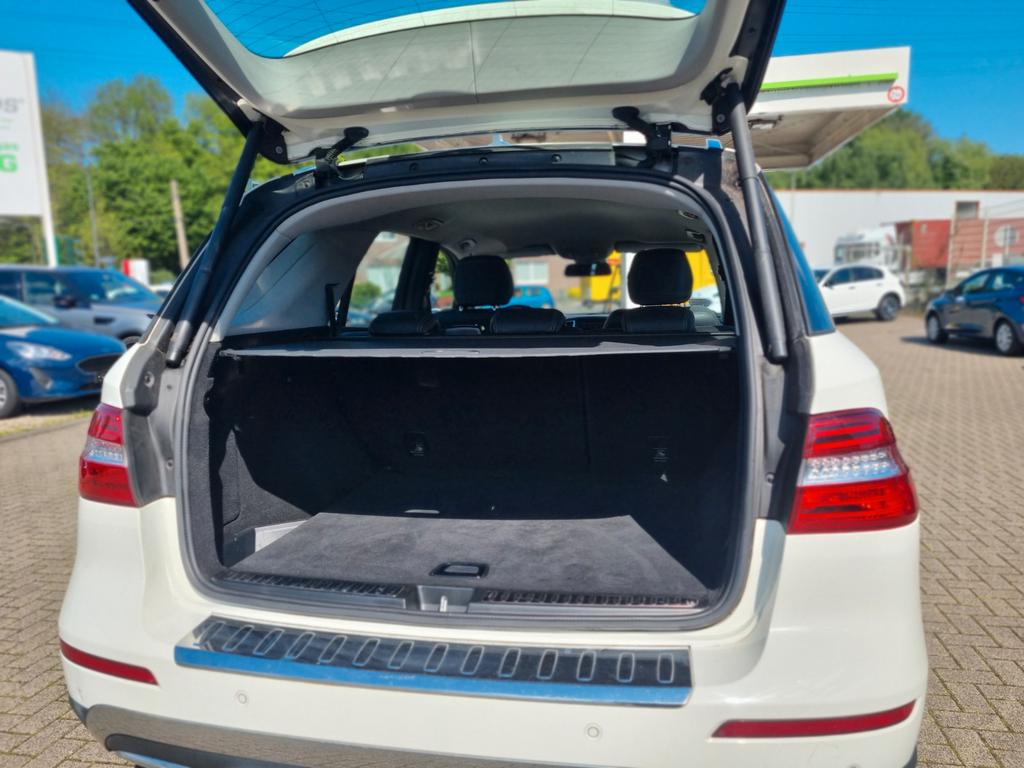 Mercedes-Benz ML 250