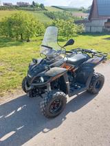 Dinli DL802 mit 49 ccm Zylinder  - Quads bis 2.000 Euro