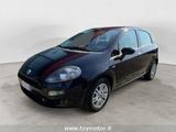 Fiat FIAT Punto 4ª serie 1.4 8V 5 porte Easypower Lou - Fiat Punto mit LPG-Antrieb