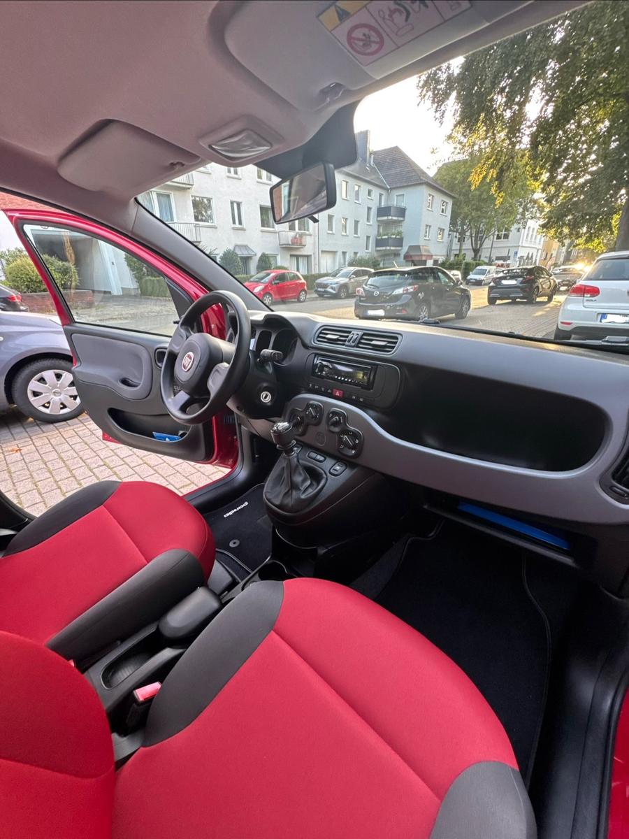 Fiat Panda - NUR 25.000km - Rentnerfahrzeug 2. Hand