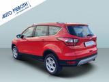 Ford Kuga 1.5 EcoBoost 2x4 Cool & Connect - Ford Kuga in Mannheim