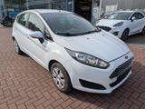 Ford Fiesta 1.5 l TDCi Trend - Ford Fiesta: Tdci Trend