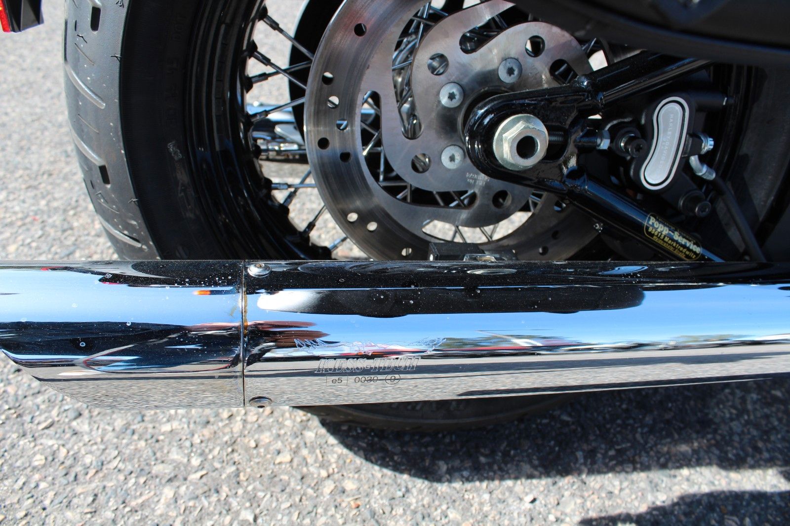 FLSTSB Softail Cross Bones Springer