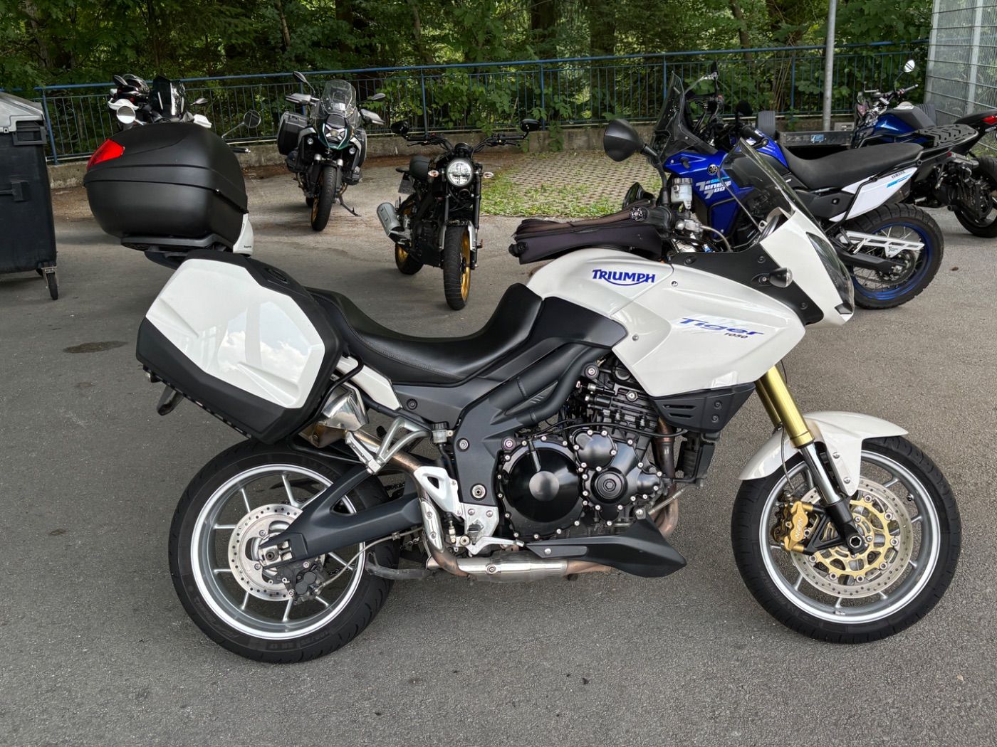 Fahrzeugabbildung Triumph Tiger 1050 Sport SC Project