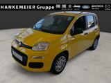 Fiat Panda Pandina ICON 1.0 GSE Hybrid-Klima*PDC*Temp - Fiat Panda in Hamm