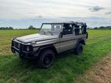 Mercedes-Benz G 250 Wolf - Ich wäre bereit... - Mercedes-Benz Wolf