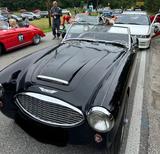 Austin Healey 100/6 BN4 - Austin Healey: Bn4