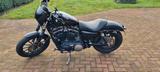 Harley-Davidson Sportster XL883N Iron  - Offers