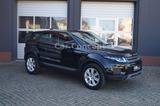 Land Rover Range Rover Evoque Pure *180PS/Allrad/2.Hand* - Land Rover Range Rover Evoque Pure mit Diesel-Antrieb