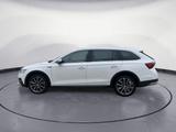Skoda Octavia Combi 2.0 TDI DSG Scout 4x4 - Skoda Octavia: Weiß