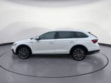 Skoda Octavia Combi 2.0 TDI DSG Scout 4x4 - Skoda: Scout