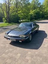 Jaguar XJS V12 - Jaguar: V12