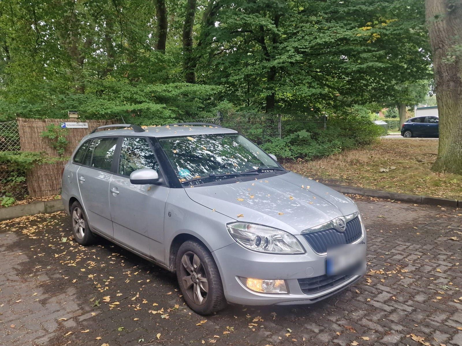 Skoda Fabia 2014 — photo 7